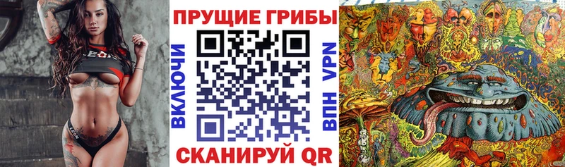 Купить  Алдан  Псилоцибиновые грибы Magic Shrooms 